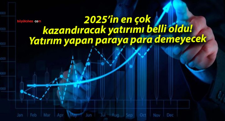 2025’in en çok kazandıracak yatırımı belli oldu! Yatırım yapan paraya para demeyecek