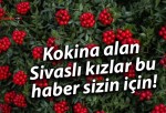 Kokina alan Sivaslı kızlar bu haber sizin için!