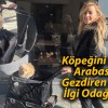 Köpeğini Bebek Arabasıyla Gezdiren Kadın İlgi Odağı Oldu