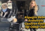 Köpeğini Bebek Arabasıyla Gezdiren Kadın İlgi Odağı Oldu