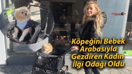 Köpeğini Bebek Arabasıyla Gezdiren Kadın İlgi Odağı Oldu