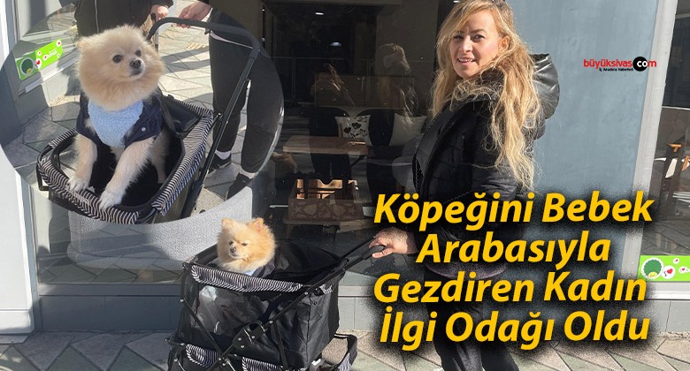 Köpeğini Bebek Arabasıyla Gezdiren Kadın İlgi Odağı Oldu