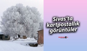 Ulaş Küpeli Köyü’nde Kar Yağışı Kartpostallık Görüntüler Oluşturdu