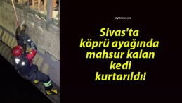 Sivas’ta köprü ayağında mahsur kalan kedi kurtarıldı!