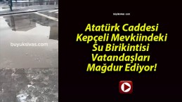 Atatürk Caddesi Kepçeli Mevkiindeki Su Birikintisi Vatandaşları Mağdur Ediyor!