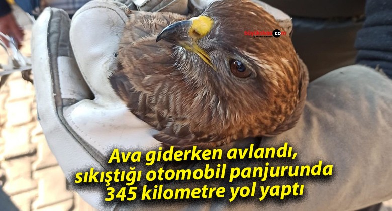 Ava giderken avlandı, sıkıştığı otomobil panjurunda 345 kilometre yol yaptı