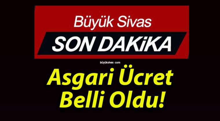 Asgari Ücret Belli Oldu!