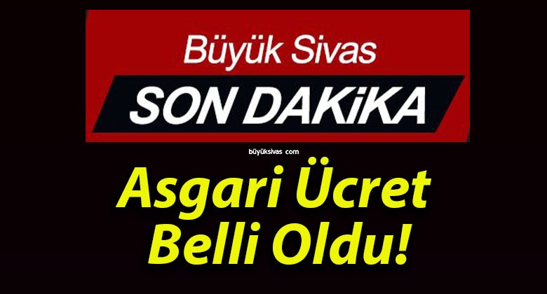 Asgari Ücret Belli Oldu!