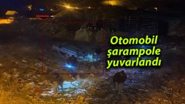 Otomobil şarampole yuvarlandı