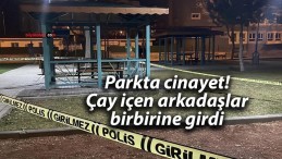 Parkta cinayet! Çay içen arkadaşlar birbirine girdi