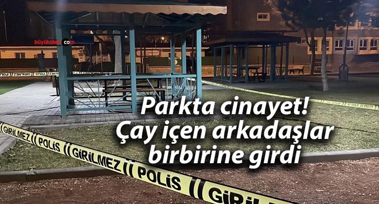 Parkta cinayet! Çay içen arkadaşlar birbirine girdi