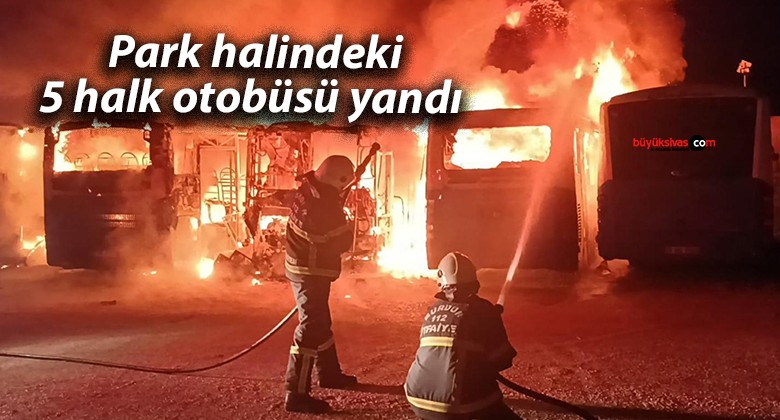 Park halindeki 5 halk otobüsü yandı 