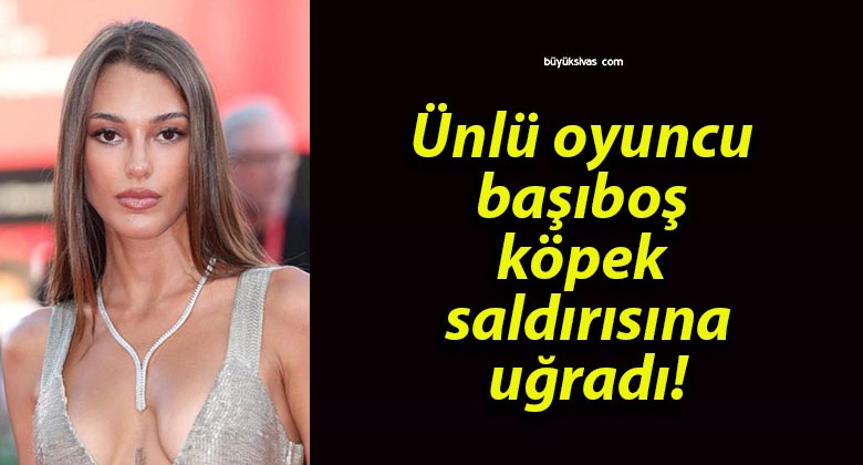 Ünlü oyuncu başıboş köpek saldırısına uğradı!