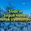 Sivas’ın Soğuk Havası Merak Uyandırıyor!