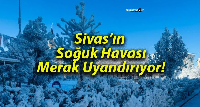 Sivas’ın Soğuk Havası Merak Uyandırıyor!