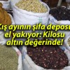 Kış ayının şifa deposu el yakıyor: Kilosu altın değerinde!