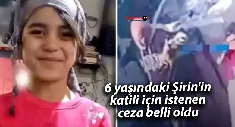 6 yaşındaki Şirin’in katili için istenen ceza belli oldu