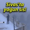 Sivas’ta yoğun sis!