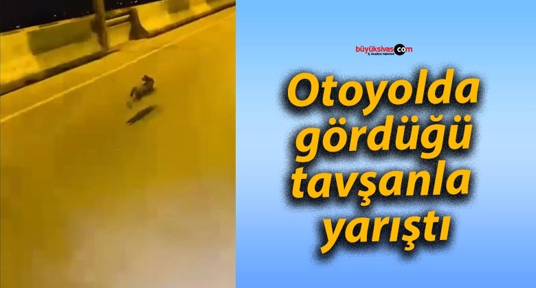 Otoyolda gördüğü tavşanla yarıştı