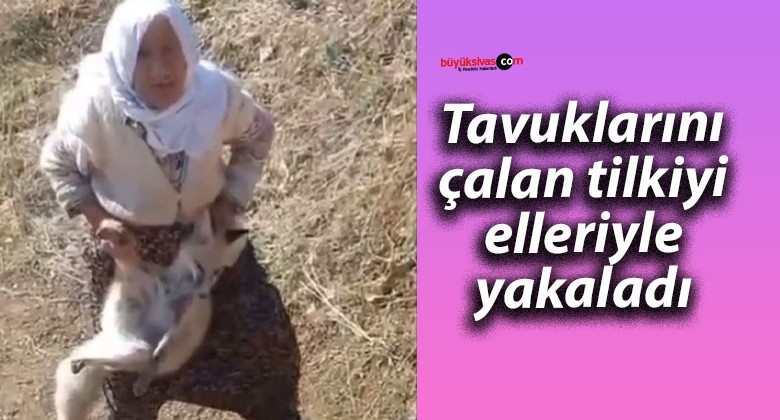 Tavuklarını çalan tilkiyi elleriyle yakaladı