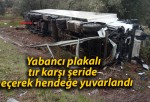 Yabancı plakalı tır karşı şeride geçerek hendeğe yuvarlandı