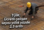 TÜİK: Ücretli çalışan sayısı yıllık yüzde 2,5 arttı