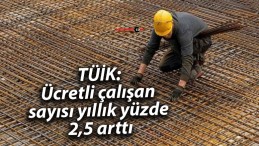 TÜİK: Ücretli çalışan sayısı yıllık yüzde 2,5 arttı