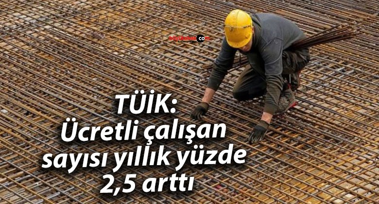 TÜİK: Ücretli çalışan sayısı yıllık yüzde 2,5 arttı