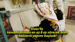 Sivas’ta tamamlanması en az 8 ay sürecek olan halıların yapımı başladı!