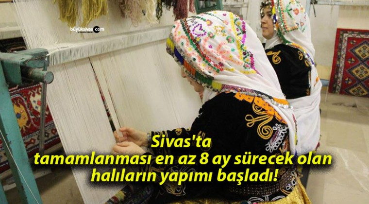 Sivas’ta tamamlanması en az 8 ay sürecek olan halıların yapımı başladı!