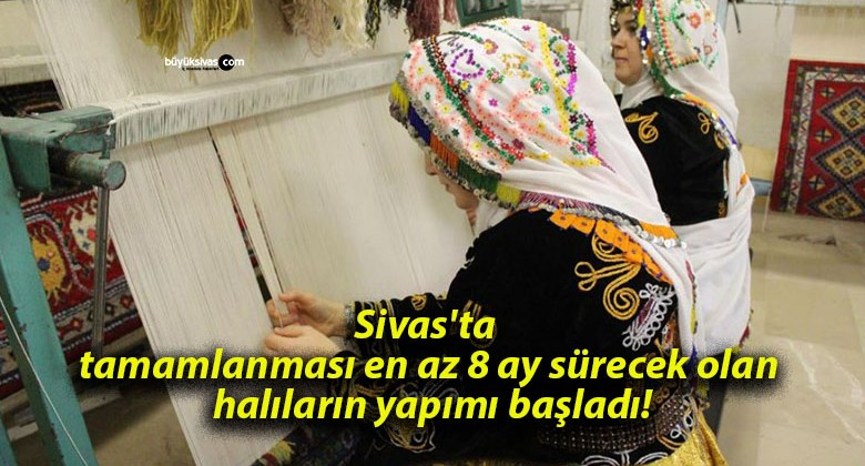 Sivas’ta tamamlanması en az 8 ay sürecek olan halıların yapımı başladı!