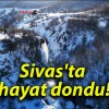 Sivas’ta hayat dondu!