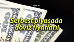 Serbest piyasada döviz fiyatları!