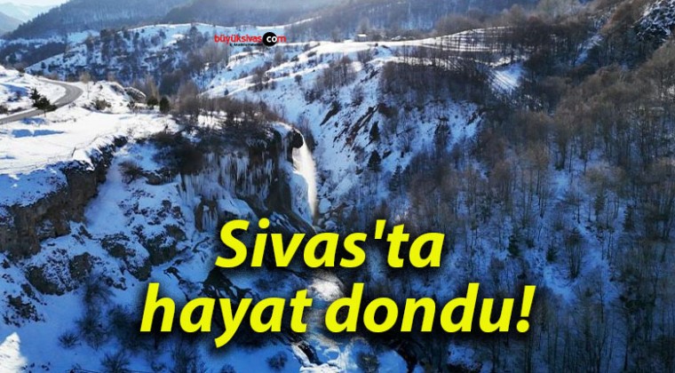 Sivas’ta hayat dondu!