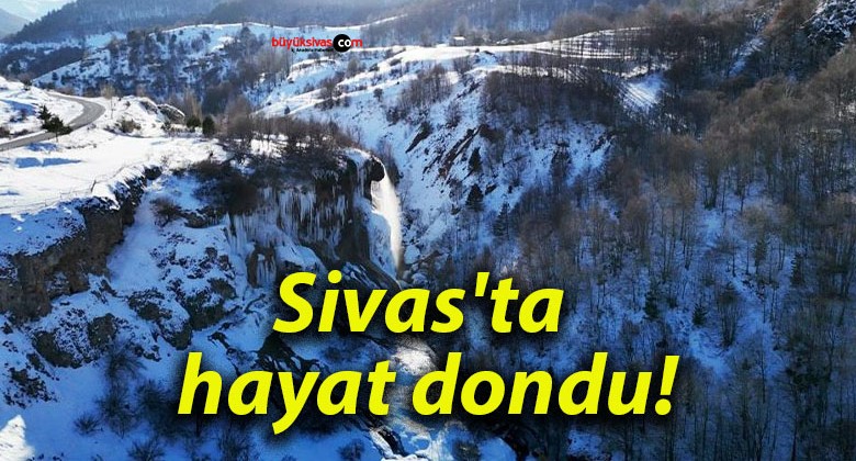 Sivas’ta hayat dondu!