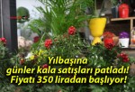 Yılbaşına günler kala satışları patladı! Fiyatı 350 liradan başlıyor!