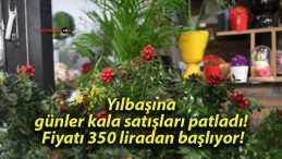 Yılbaşına günler kala satışları patladı! Fiyatı 350 liradan başlıyor!