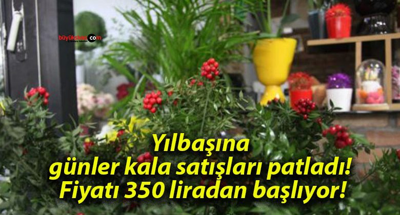 Yılbaşına günler kala satışları patladı! Fiyatı 350 liradan başlıyor!