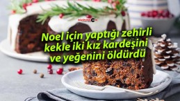 Noel için yaptığı zehirli kekle iki kız kardeşini ve yeğenini öldürdü