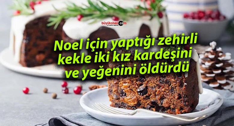 Noel için yaptığı zehirli kekle iki kız kardeşini ve yeğenini öldürdü