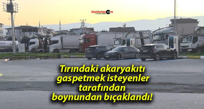 Tırındaki akaryakıtı gaspetmek isteyenler tarafından boynundan bıçaklandı!