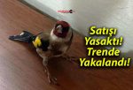 Satışı Yasaktı! Trende Yakalandı!