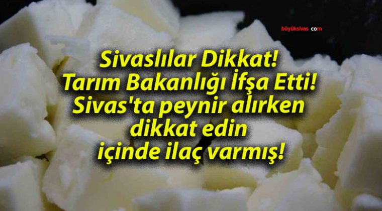 Sivaslılar Dikkat! Tarım Bakanlığı İfşa Etti! Sivas’ta peynir alırken dikkat edin içinde ilaç varmış!