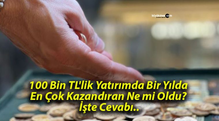 100 Bin TL’lik Yatırımda Bir Yılda En Çok Kazandıran Ne mi Oldu? İşte Cevabı..