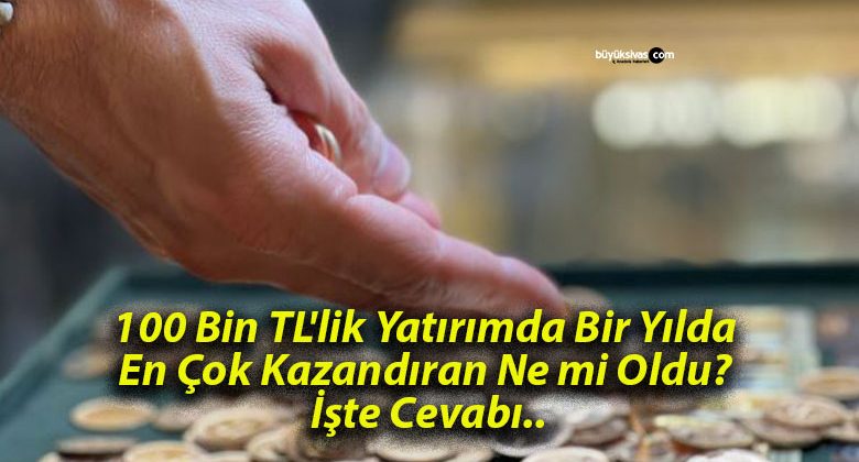 100 Bin TL’lik Yatırımda Bir Yılda En Çok Kazandıran Ne mi Oldu? İşte Cevabı..